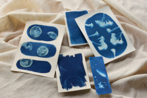Créations cyanotype réalisées avec fleurs séchées sur papier et marque-pages